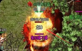 传奇私服网 传奇私服网